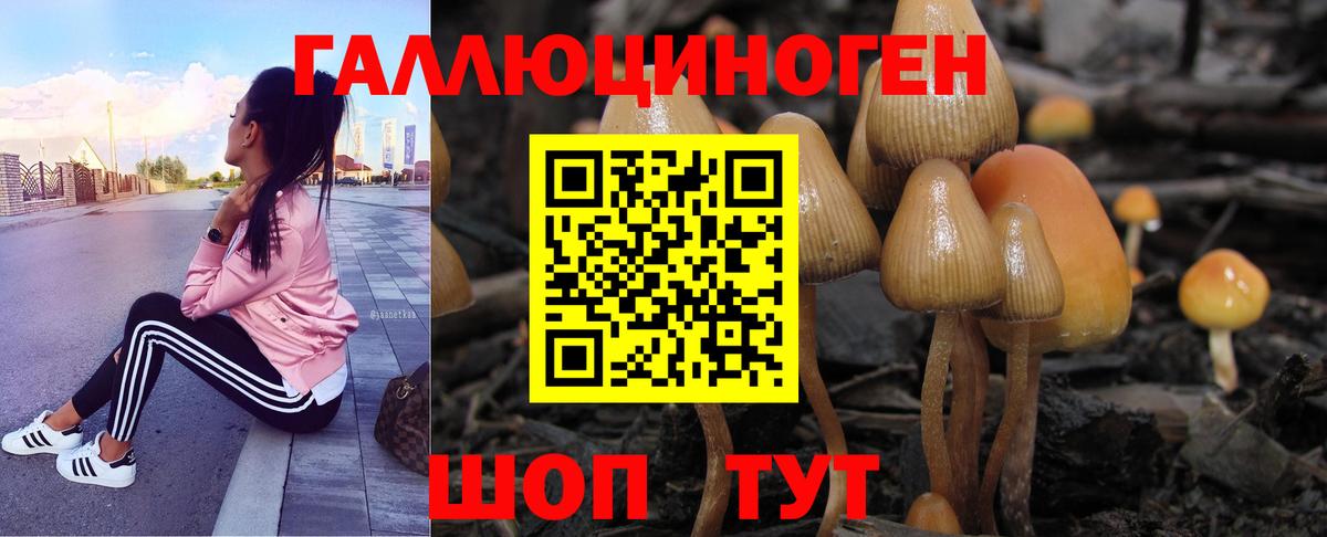 Галлюциногенные грибы MAGIC MUSHROOMS Югорск